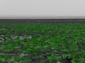 DSCF6757