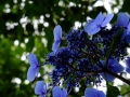 DSCF6831
