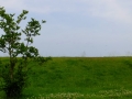 DSCF6998