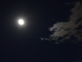 mellows-020