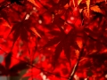resize_DSC00620