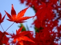 resize_DSC00630