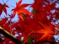 resize_DSC00631