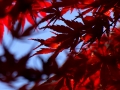 resize_DSC00650