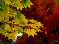 resize_DSCF8328