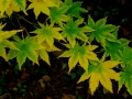 resize_DSCF8338