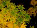 resize_DSCF8361