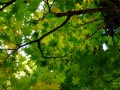 DSCF9086