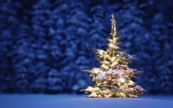 Mellow なクリスマス・ソング ～ 2014 Vol.6【Ryuichi Sakamoto】